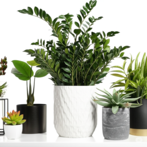 Como usar plantas artificiais na decoração sem parecer falso e surpreender